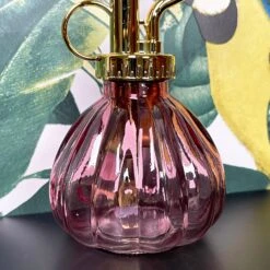 Darthome Limited Bobble Glass Plant Mister 200ml -Decor Garden Shop IMG E3867