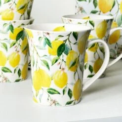 Darthome Limited Set Of 4 Lemon Tree Mugs Gift Boxed -Decor Garden Shop IMG E3923