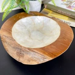 Darthome Limited Teak Root Pearl Bowl 25cm 10 Darthome Limited Teak Root Pearl Bowl 25cm -Decor Garden Shop IMG E3952 1