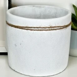 Darthome Limited Cement White Round Bee Pot 11 Darthome Limited Cement White Round Bee Pot -Decor Garden Shop IMG E4066 79017234 8d36 4cdd 8b20 0c9fe7b6becf