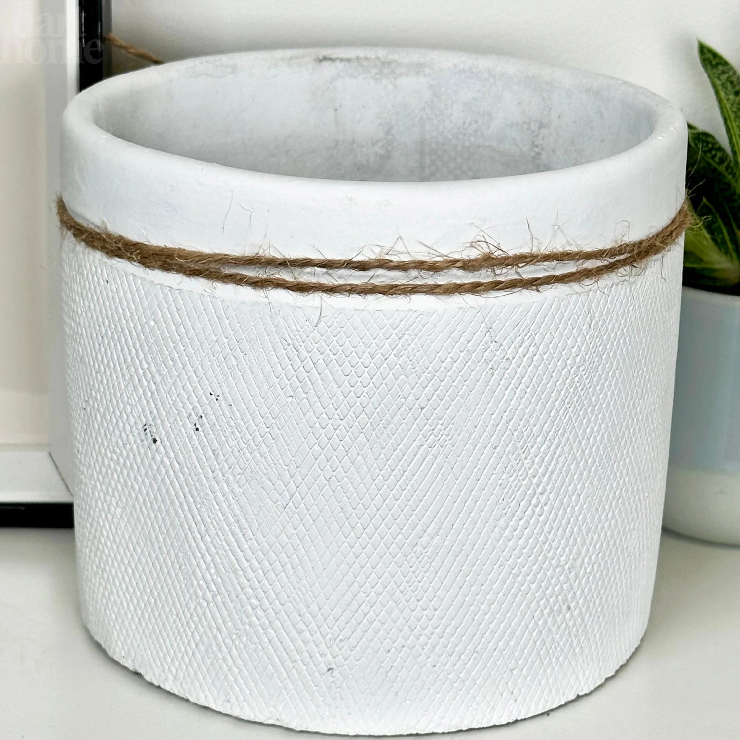 Darthome Limited Cement White Round Bee Pot 6 Darthome Limited Cement White Round Bee Pot - Image 6