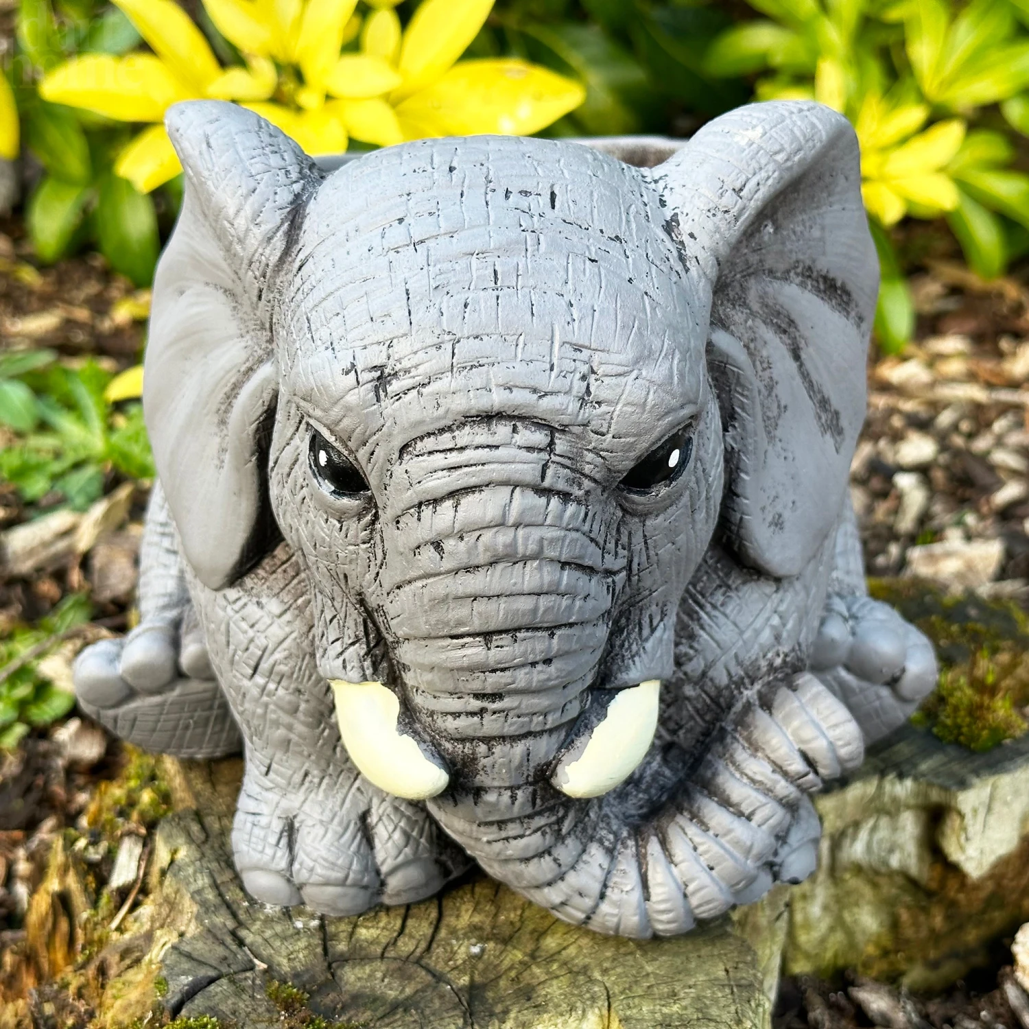 Darthome Limited Cement Elephant Planter 20cm 6 Darthome Limited Cement Elephant Planter 20cm - Image 6