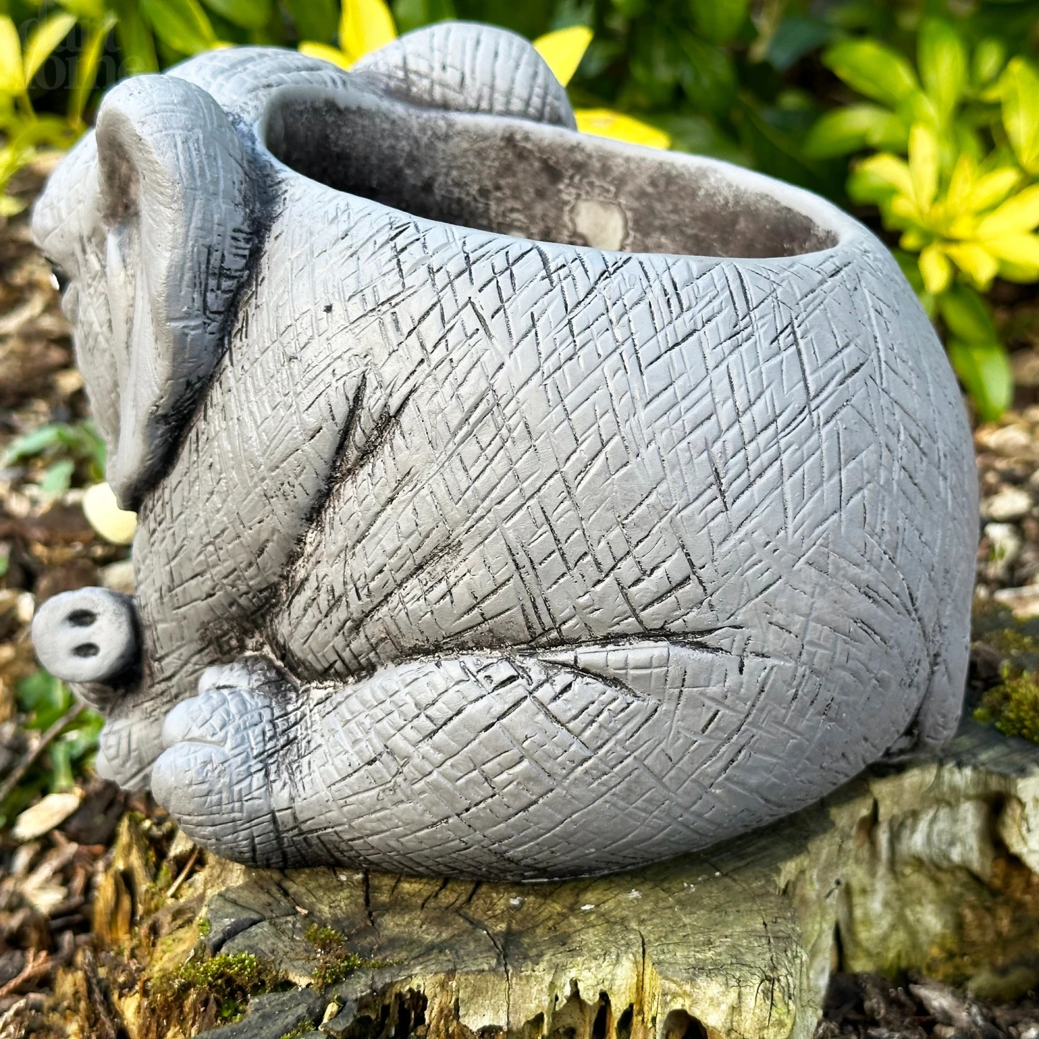 Darthome Limited Cement Elephant Planter 20cm 3 Darthome Limited Cement Elephant Planter 20cm - Image 3