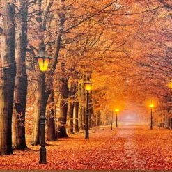 Darthome Limited Rectangular Autumn Avenue LED Canvas Wall Art 60cm 7 Darthome Limited Rectangular Autumn Avenue LED Canvas Wall Art 60cm -Decor Garden Shop IMG E4216 edited136