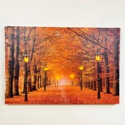 Darthome Limited Rectangular Autumn Avenue LED Canvas Wall Art 60cm 8 Darthome Limited Rectangular Autumn Avenue LED Canvas Wall Art 60cm -Decor Garden Shop IMG E4223 edited137