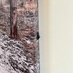 Darthome Limited Seashore Beach LED Canvas Wall Art 40x40cm 8 Darthome Limited Seashore Beach LED Canvas Wall Art 40x40cm -Decor Garden Shop IMG E4232 edited145