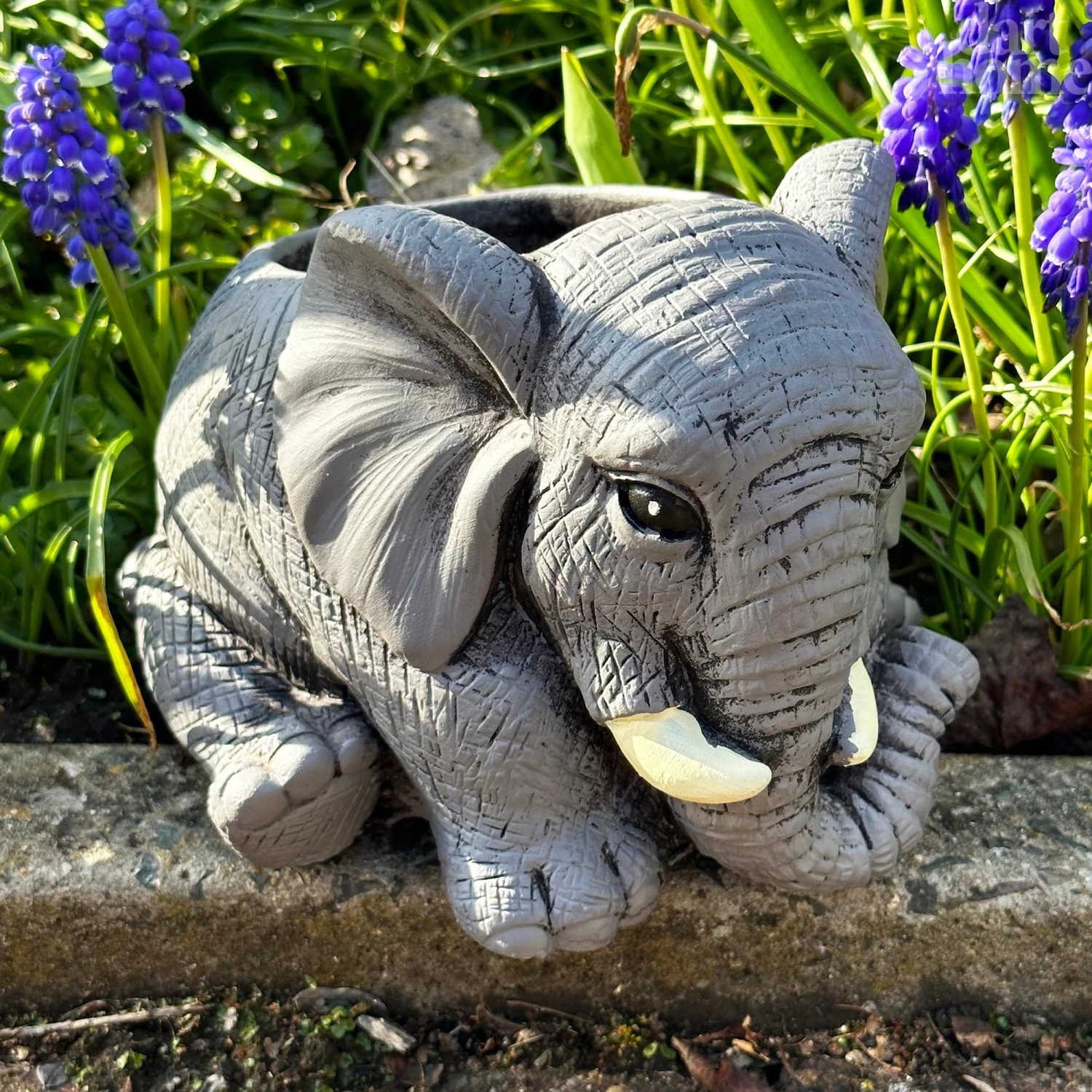 Darthome Limited Cement Elephant Planter 20cm 1 Darthome Limited Cement Elephant Planter 20cm