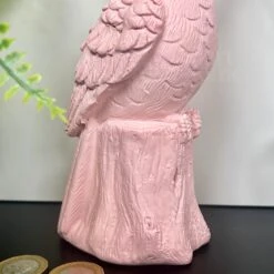 Darthome Limited Pink Toucan Money Bank 10 Darthome Limited Pink Toucan Money Bank -Decor Garden Shop IMG E4612