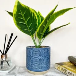 Darthome Limited Artificial Dieffenbachia Flower In Blue Pot -Decor Garden Shop IMG E4616 edited89