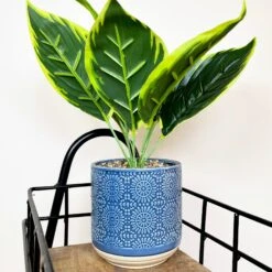 Darthome Limited Artificial Dieffenbachia Flower In Blue Pot