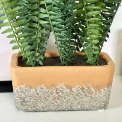 Darthome Limited Faux Potted Fern Plant In Terracotta Pot -Decor Garden Shop IMG E4667