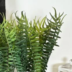 Darthome Limited Faux Potted Fern Plant In Terracotta Pot -Decor Garden Shop IMG E4668