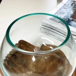Darthome Limited Molten Glass Bowl With Hand Of Hope Teak Wood Stand 15 Darthome Limited Molten Glass Bowl With Hand Of Hope Teak Wood Stand -Decor Garden Shop IMG E4694