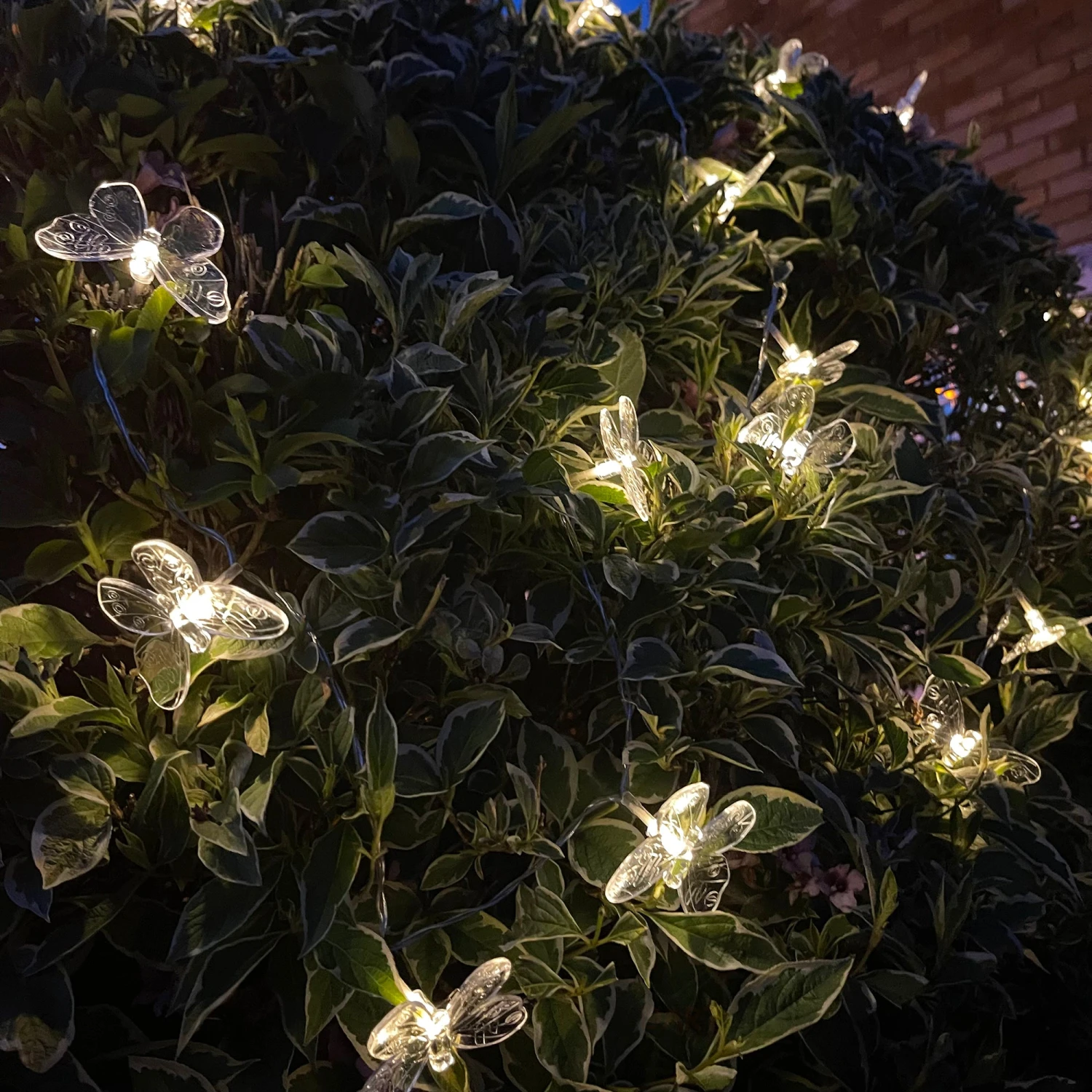 Darthome Limited 20 Butterfly Solar Outdoor String Lights 5 Darthome Limited 20 Butterfly Solar Outdoor String Lights - Image 5