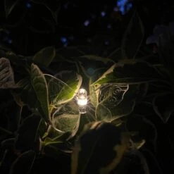 Darthome Limited 20 Butterfly Solar Outdoor String Lights -Decor Garden Shop IMG E5078 edited85 1