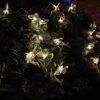 Darthome Limited 20 Butterfly Solar Outdoor String Lights