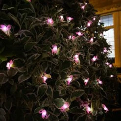 Darthome Limited 50 Flamingo Solar Outdoor String Lights