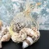 Darthome Limited Mixed Natural Sea Shells Fish Net Bag 700g