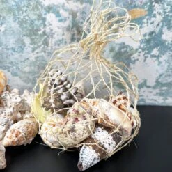 Darthome Limited Mixed Natural Sea Shells Fish Net Bag 700g