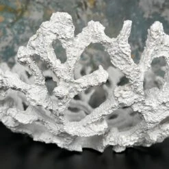 Darthome Limited Large White Coral Bowl 12 Darthome Limited Large White Coral Bowl -Decor Garden Shop IMG E5193