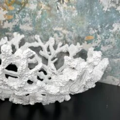 Darthome Limited Large White Coral Bowl 14 Darthome Limited Large White Coral Bowl -Decor Garden Shop IMG E5195