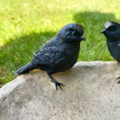 Darthome Limited Resin Birds On Bowl Bird Bath -Decor Garden Shop IMG E5890 edited142