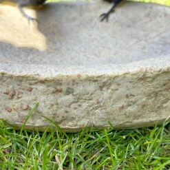 Darthome Limited Resin Birds On Bowl Bird Bath -Decor Garden Shop IMG E5893 edited144