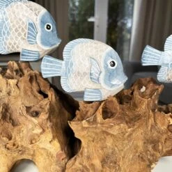 Darthome Limited Blue Fish On Teak Root Coral Reef Sculpture -Decor Garden Shop IMG E5896