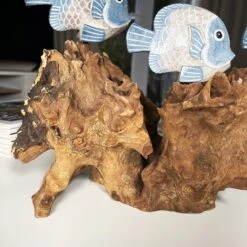 Darthome Limited Blue Fish On Teak Root Coral Reef Sculpture -Decor Garden Shop IMG E5898