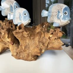 Darthome Limited Blue Fish On Teak Root Coral Reef Sculpture -Decor Garden Shop IMG E5899