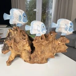 Darthome Limited Blue Fish On Teak Root Coral Reef Sculpture 15 Darthome Limited Blue Fish On Teak Root Coral Reef Sculpture -Decor Garden Shop IMG E5900 1