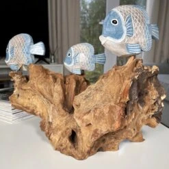 Darthome Limited Blue Fish On Teak Root Coral Reef Sculpture -Decor Garden Shop IMG E5904