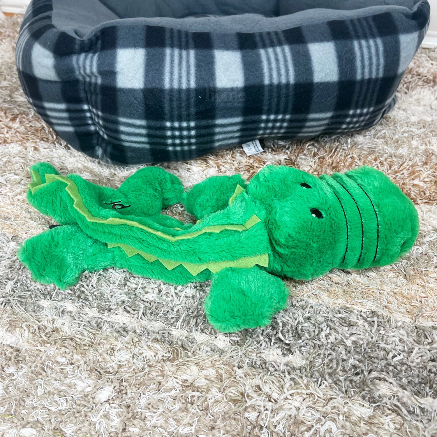 Darthome Limited Green Crocodile Eco Squeaky Dog Toy 2 Darthome Limited Green Crocodile Eco Squeaky Dog Toy - Image 2