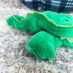 Darthome Limited Green Crocodile Eco Squeaky Dog Toy 13 Darthome Limited Green Crocodile Eco Squeaky Dog Toy -Decor Garden Shop IMG E5931
