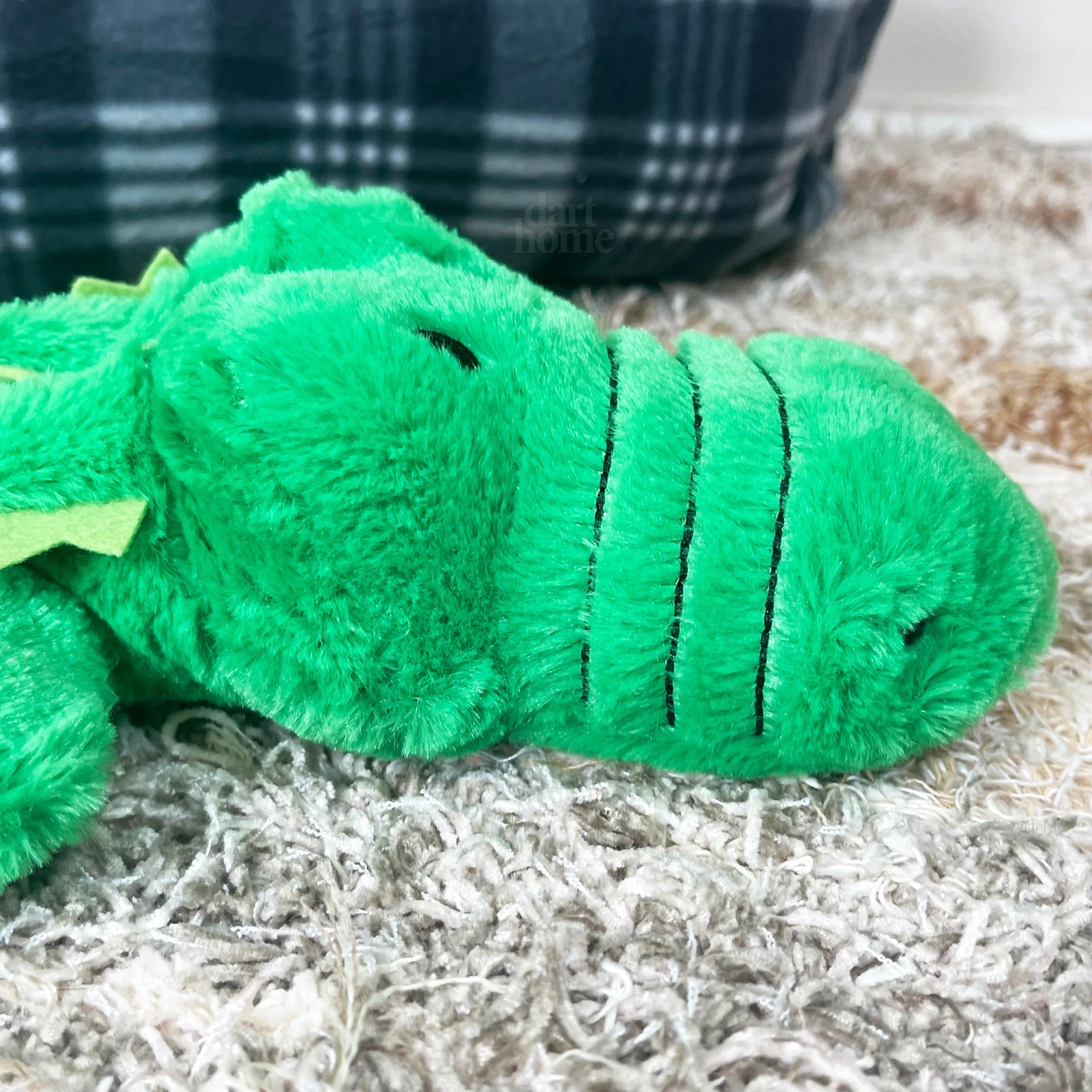 Darthome Limited Green Crocodile Eco Squeaky Dog Toy 6 Darthome Limited Green Crocodile Eco Squeaky Dog Toy - Image 6