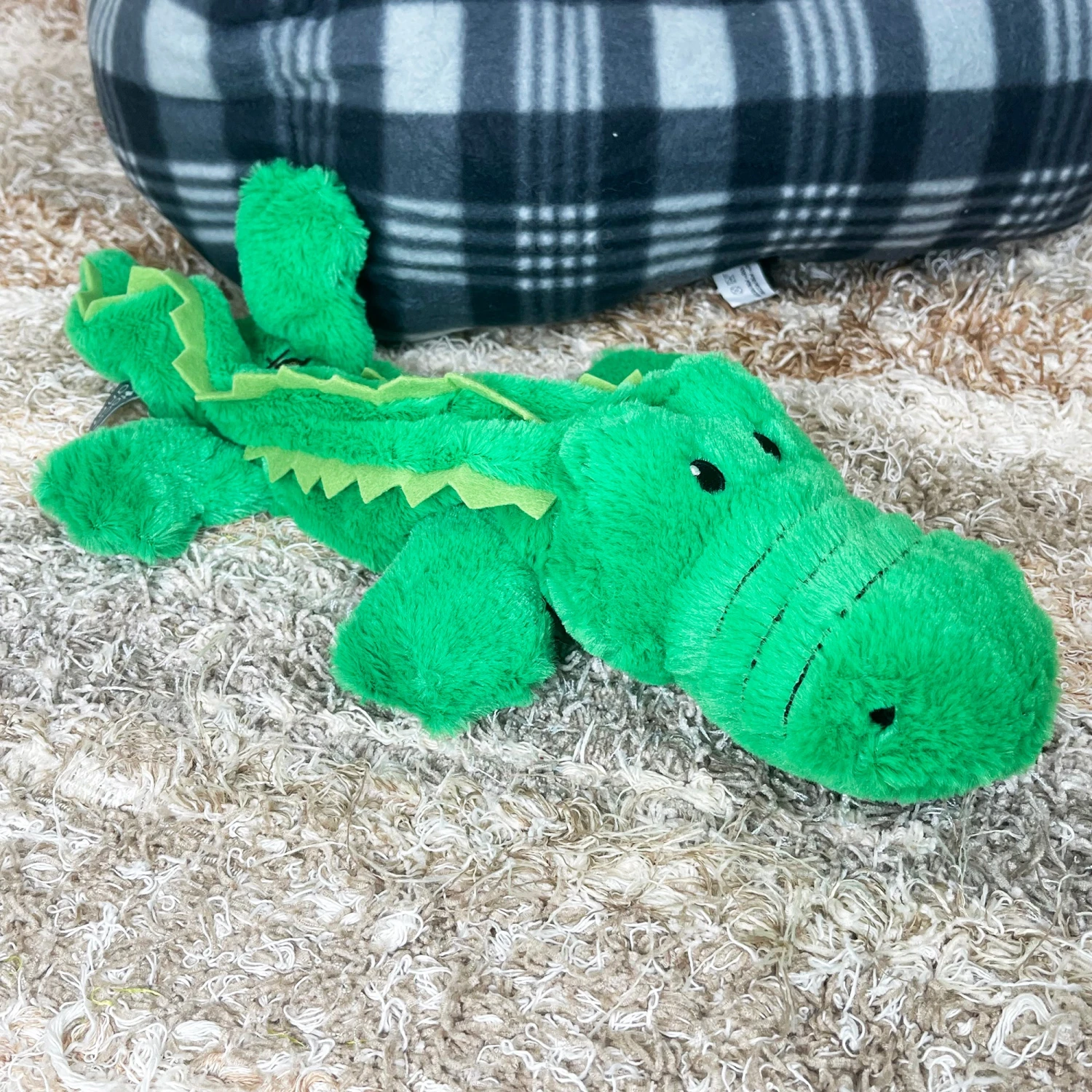 Darthome Limited Green Crocodile Eco Squeaky Dog Toy 8 Darthome Limited Green Crocodile Eco Squeaky Dog Toy - Image 8