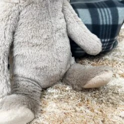 Darthome Limited Ellie The Elephant Squeaky Dog Toy -Decor Garden Shop IMG E5945