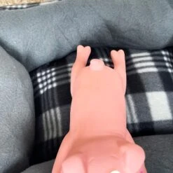 Darthome Limited Pink Lounging Pig Squeaky Dog Toy -Decor Garden Shop IMG E5990