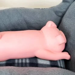 Darthome Limited Pink Lounging Pig Squeaky Dog Toy -Decor Garden Shop IMG E5992