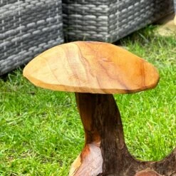 Darthome Limited Teak Root Double Wild Mushroom Sculpture -Decor Garden Shop IMG E6039 1ab124d4 4272 40a8 b56e 19c4835c9015