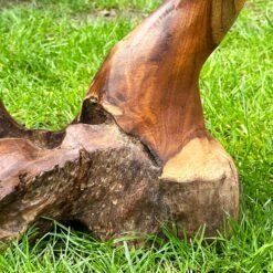 Darthome Limited Teak Root Double Wild Mushroom Sculpture -Decor Garden Shop IMG E6040 083569a1 d220 47e0 bd52 6ac4187df834