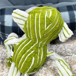 Darthome Limited Chubby Chimp Squeaky Dog Toy -Decor Garden Shop IMG E6044