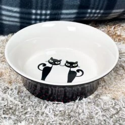 Darthome Limited Ceramic Polka Dot Cat Bowl
