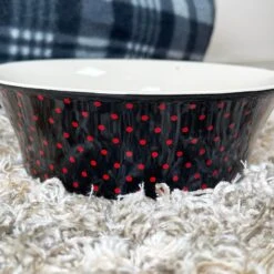 Darthome Limited Ceramic Polka Dot Cat Bowl -Decor Garden Shop IMG E6082 1