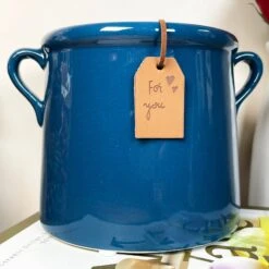 Darthome Limited Synergy Blue Urn Pot -Decor Garden Shop IMG E6258