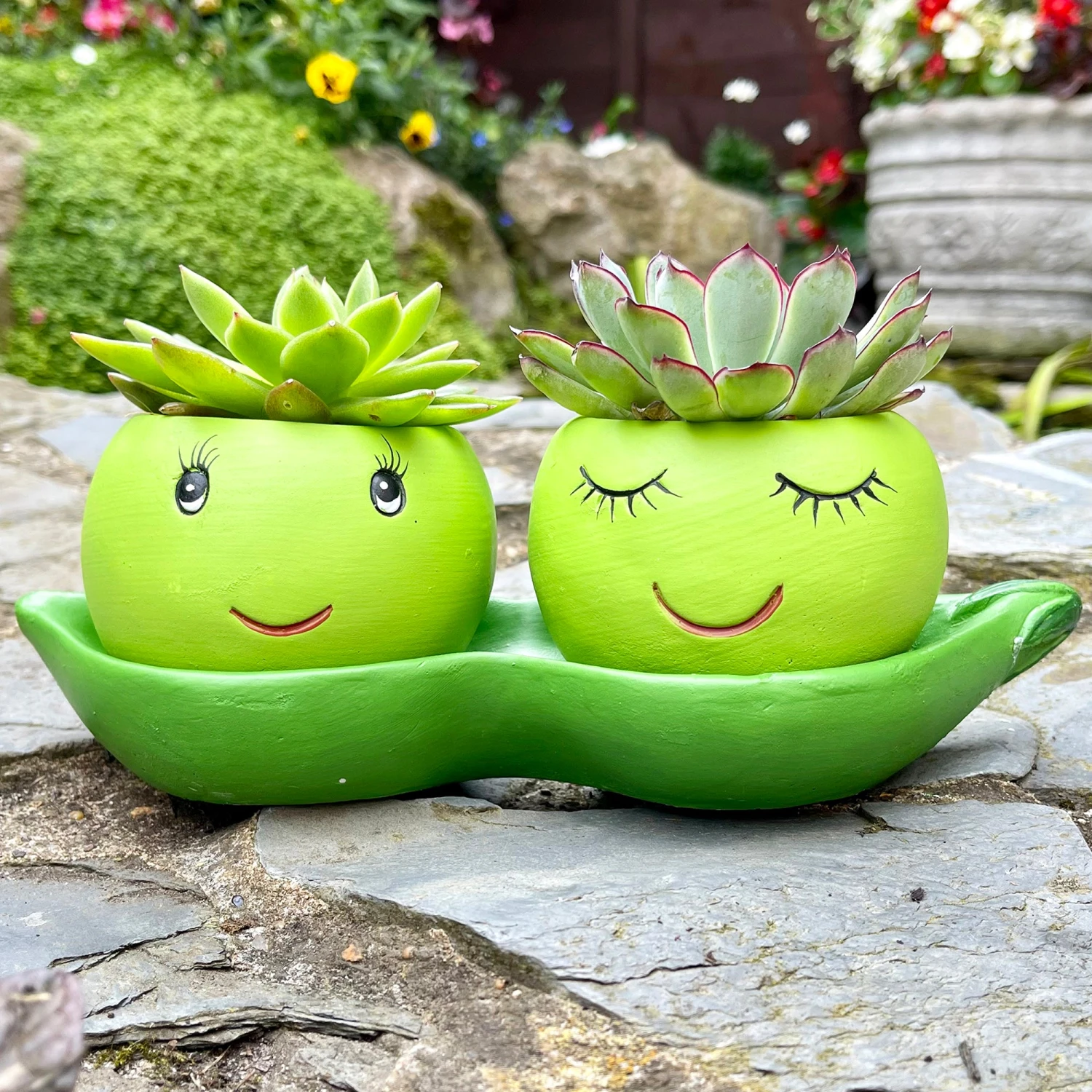 Darthome Limited Cement Two Peas In A Pod Succulent Planter 1 Darthome Limited Cement Two Peas In A Pod Succulent Planter