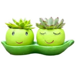 Darthome Limited Cement Two Peas In A Pod Succulent Planter 11 Darthome Limited Cement Two Peas In A Pod Succulent Planter -Decor Garden Shop IMG E6293 edited2copy