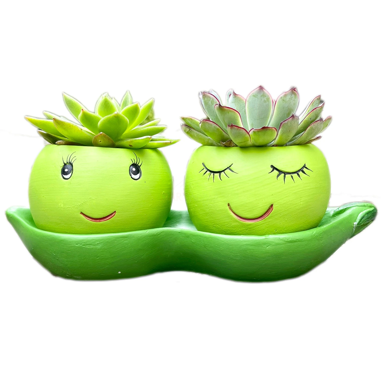 Darthome Limited Cement Two Peas In A Pod Succulent Planter 6 Darthome Limited Cement Two Peas In A Pod Succulent Planter - Image 6