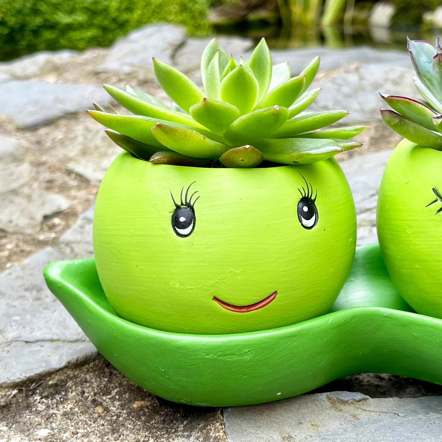 Darthome Limited Cement Two Peas In A Pod Succulent Planter 2 Darthome Limited Cement Two Peas In A Pod Succulent Planter - Image 2