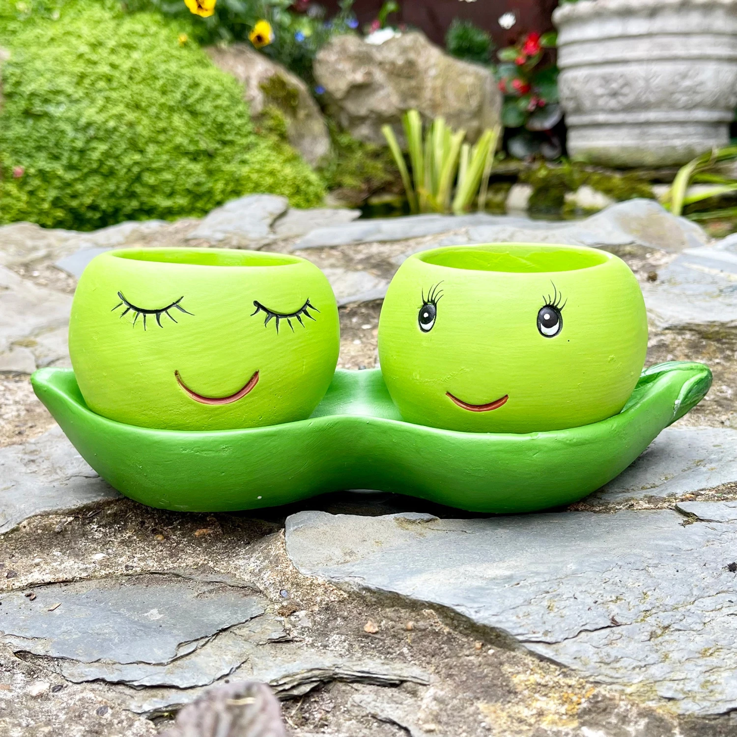 Darthome Limited Cement Two Peas In A Pod Succulent Planter 5 Darthome Limited Cement Two Peas In A Pod Succulent Planter - Image 5